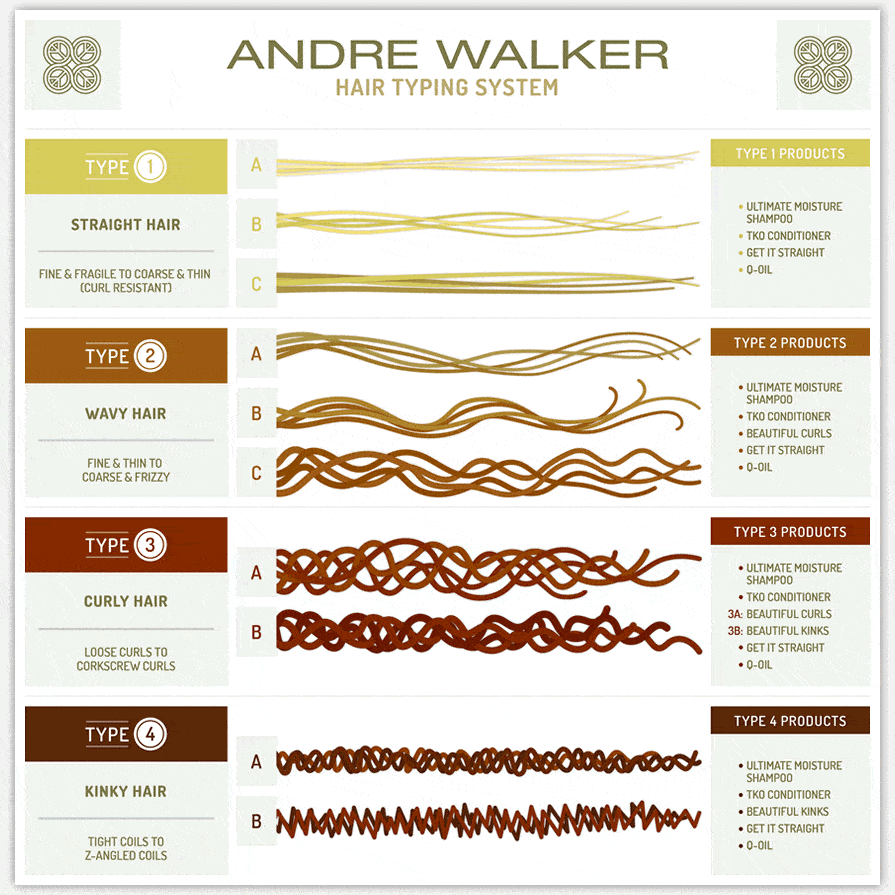 Andre Walker Hair Type System